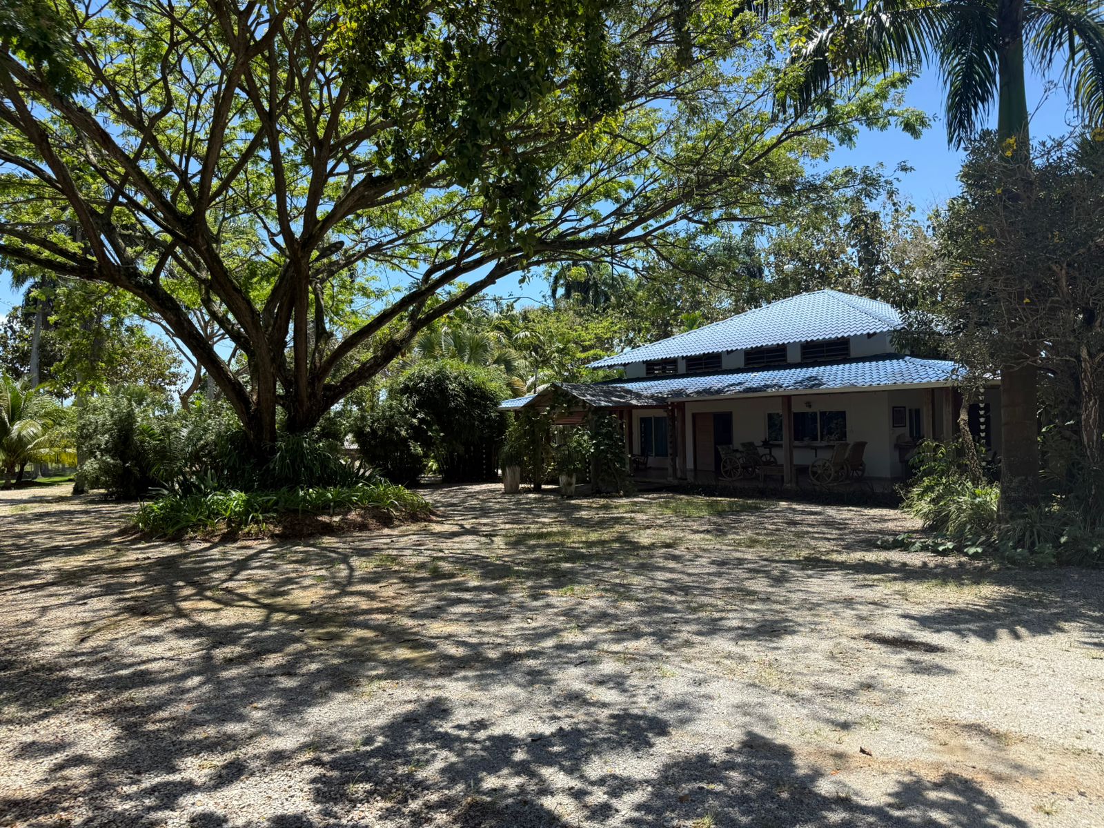 Finca principal