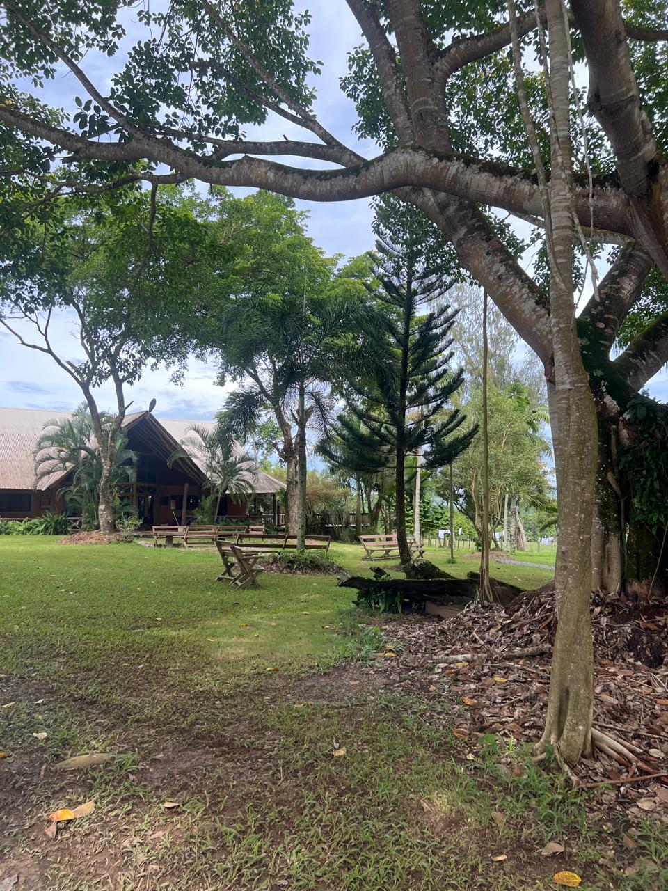 Vista de la finca