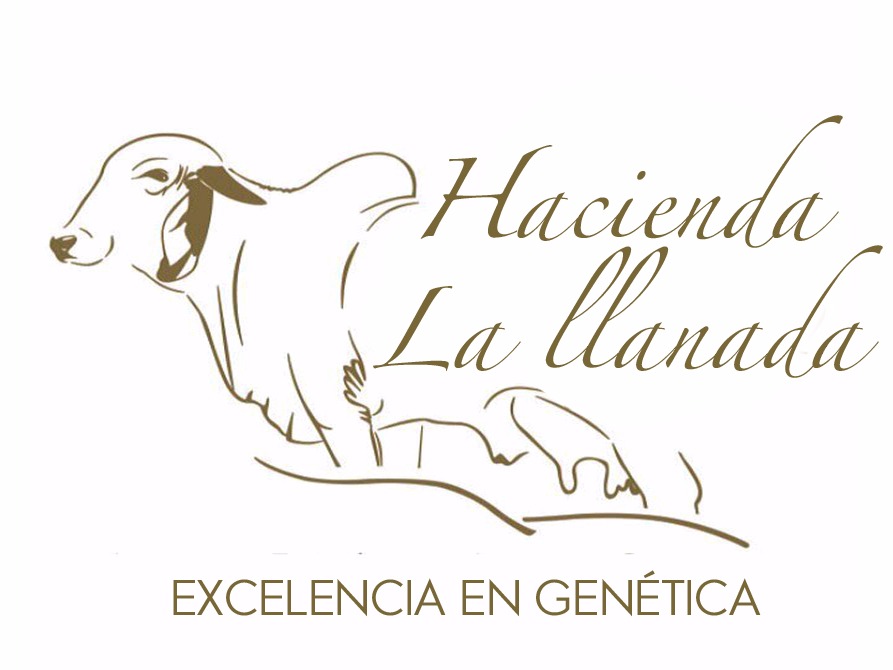 Logo Hacienda La Llanada